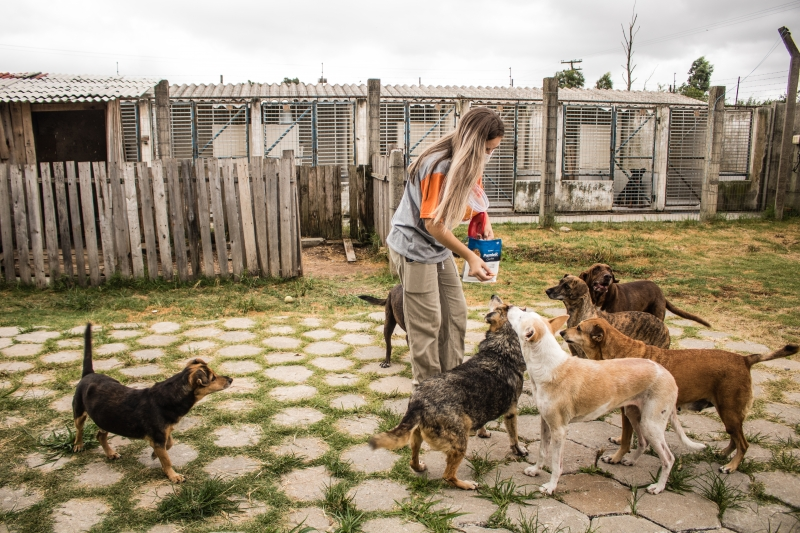 Voluntária a abraçar um cão rodeada por outros animais resgatados